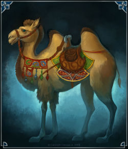 волшебный верблюд